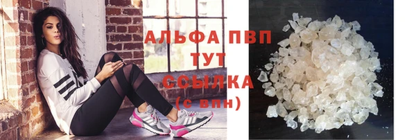 бошки Белокуриха