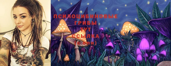 бошки Белокуриха
