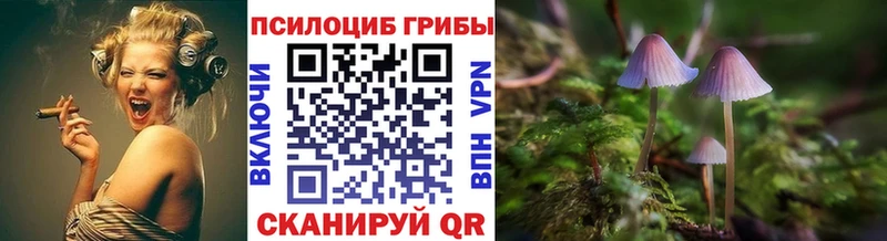 Псилоцибиновые грибы мицелий  Кушва 