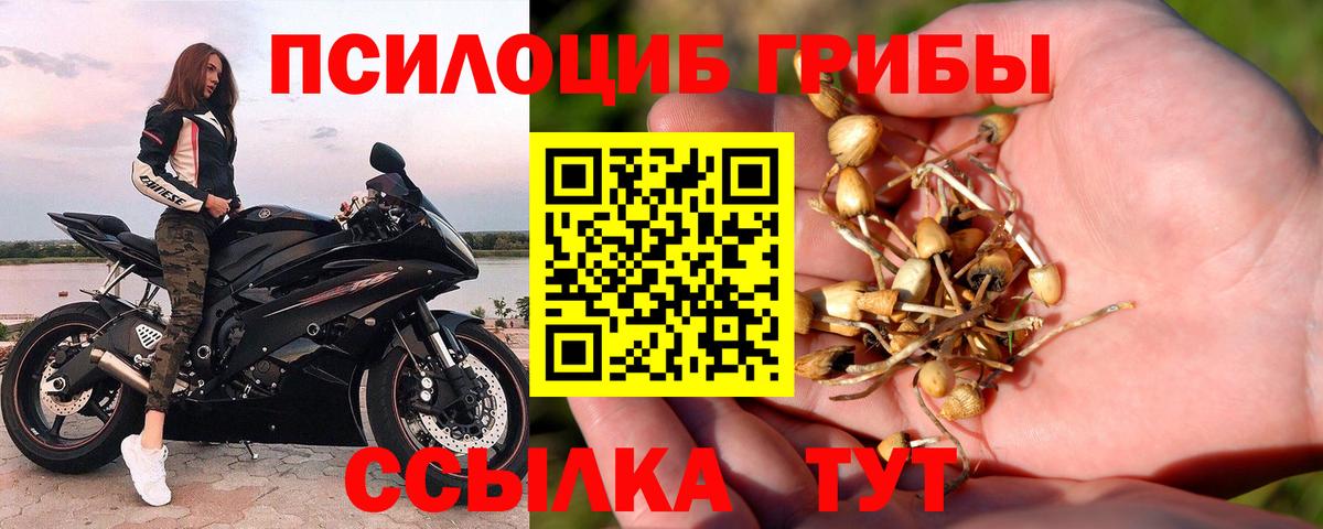 Галлюциногенные грибы ЛСД  Вход с VPN  где можно купить   Кушва 