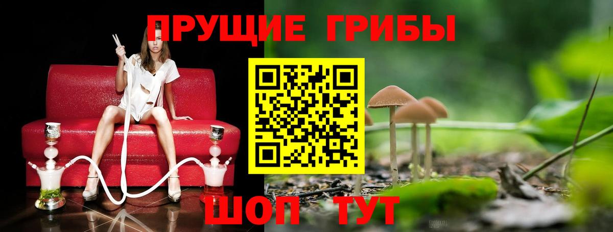 Псилоцибиновые грибы ЛСД Кушва