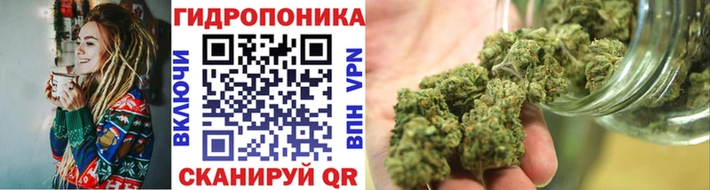 Бошки марихуана конопля Кушва